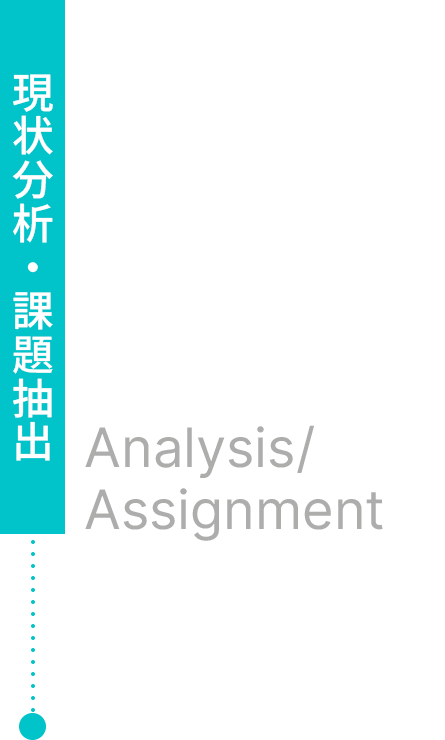 現状分析・課題抽出 Analysis/Assignment