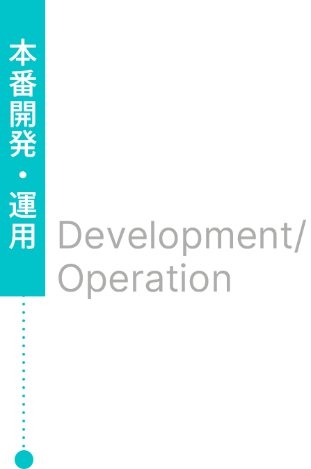 本番開発・運用 Development/Operation